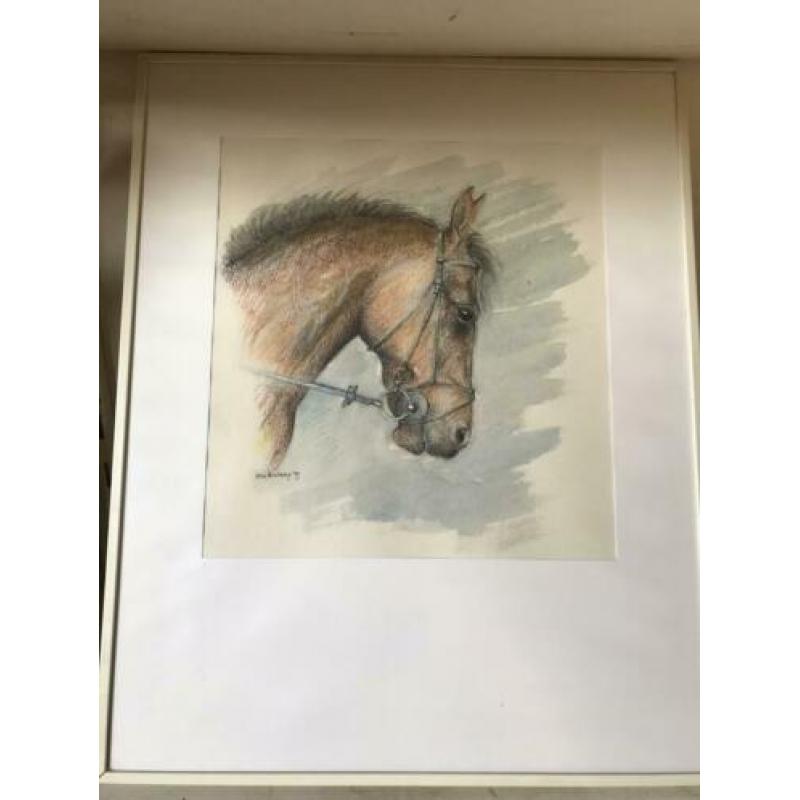 Elice Kernkamp prachtige paarden hoofd tekening 40/50 cm