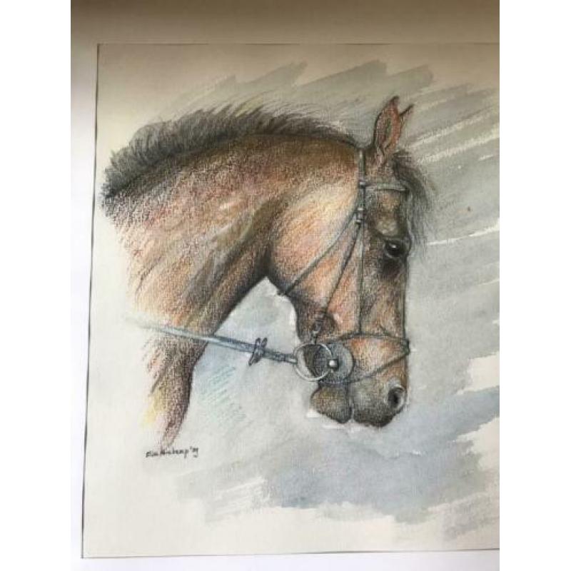 Elice Kernkamp prachtige paarden hoofd tekening 40/50 cm