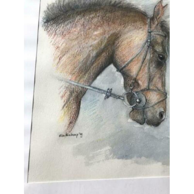 Elice Kernkamp prachtige paarden hoofd tekening 40/50 cm