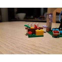 Lego Friends 41123