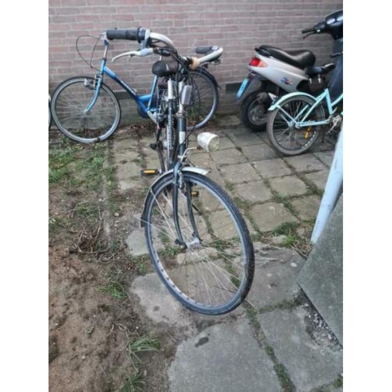 Drie Opknap Damesfietsen Te Koop partij