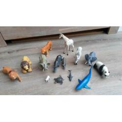 Diverse wilde dieren en dinosaurussen