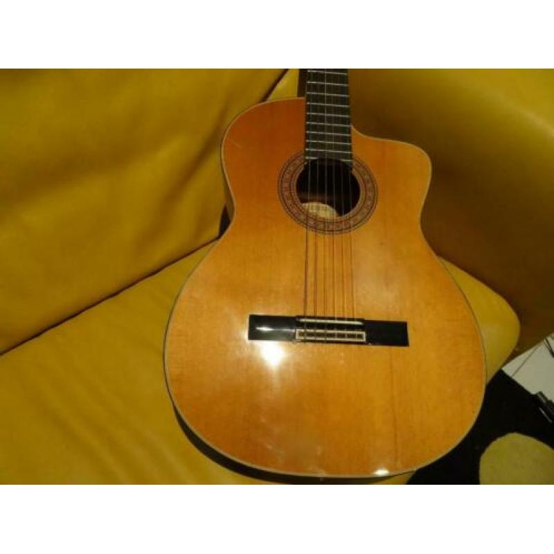 gitaar takamine