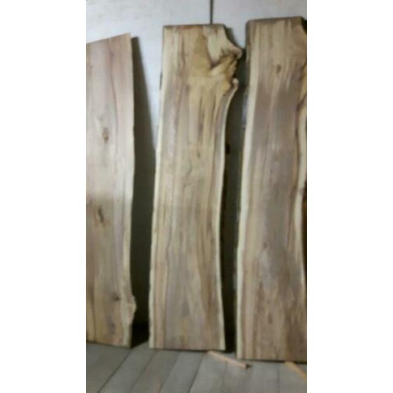 Beuken platen massief / Boomstamplanken / Boomschorsplanken