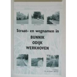 Straat- en wegnamenboek Bunnik, Odijk en Werkhoven