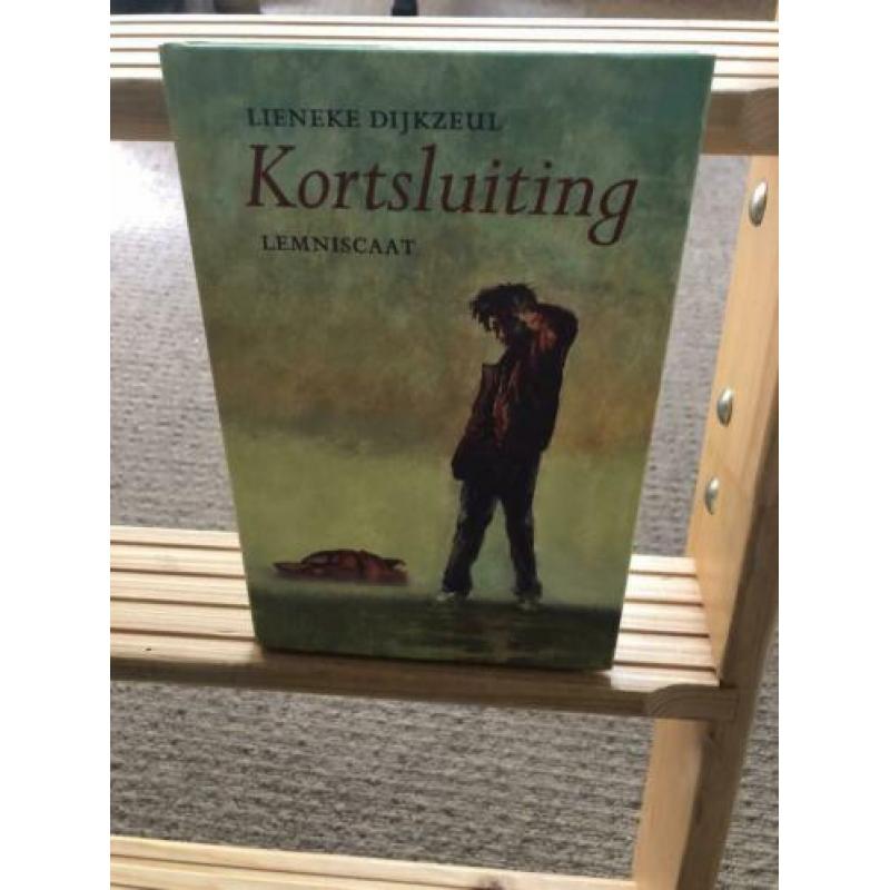 Kortsluiting | Lieneke Dijkzeul