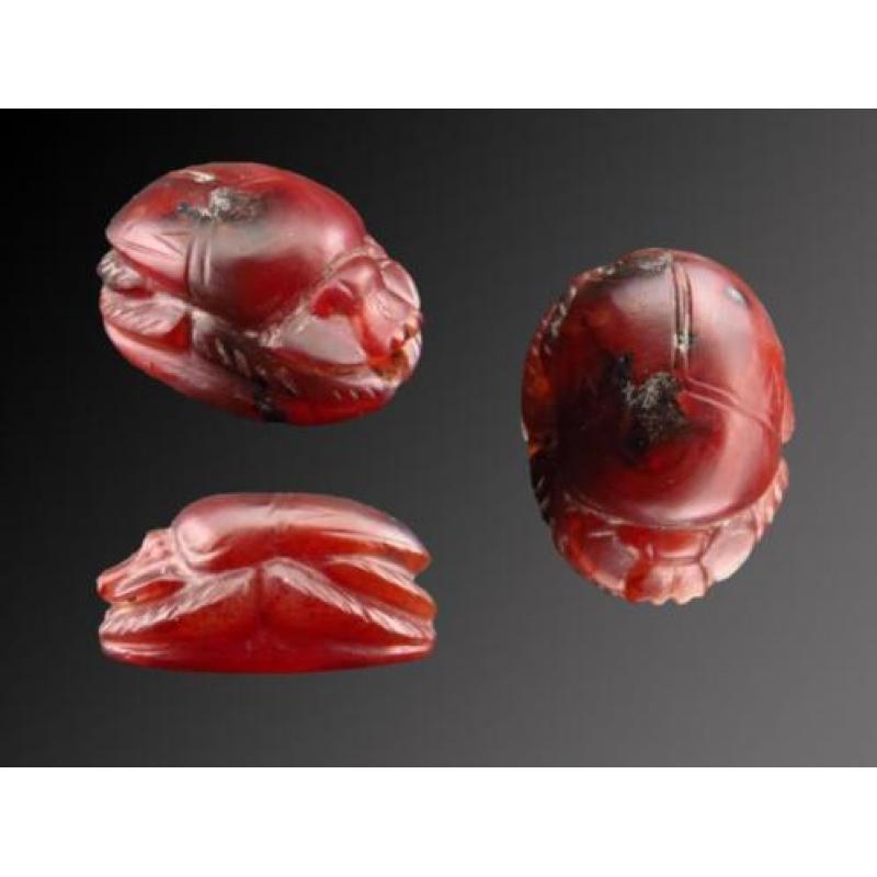 Egyptian very detailed carnelian scarab