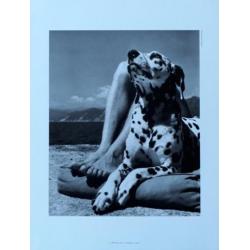 Herbert List - Master and dog (Portofino) - fotolitho