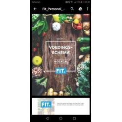 Fit - voedingsplan en stappenplan afvallen en spiermassa