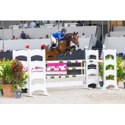 8-jarige springtopper, merrie, 1.40m springen geklasseerd