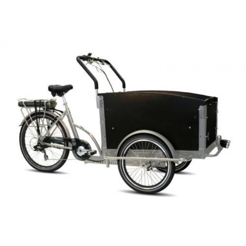 Troy elektrische bakfiets 36V driewieler fiets e-bike