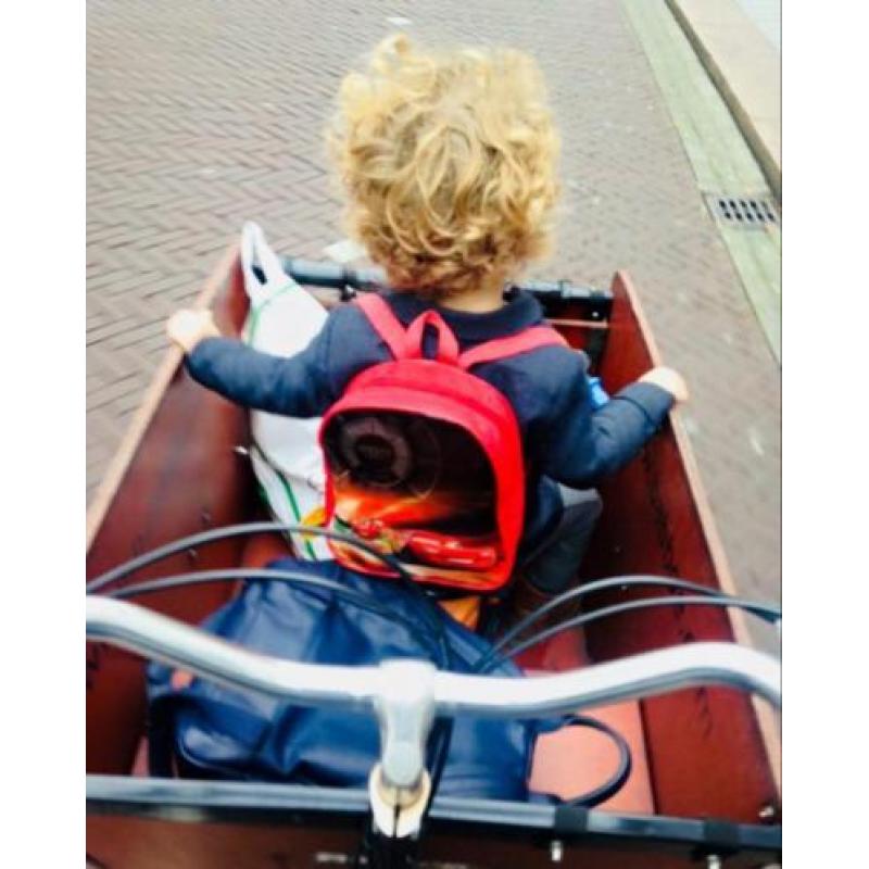 Babboe bakfiets Big