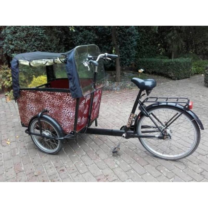 Bakfiets 5 versnellingen en afneembare regenkap