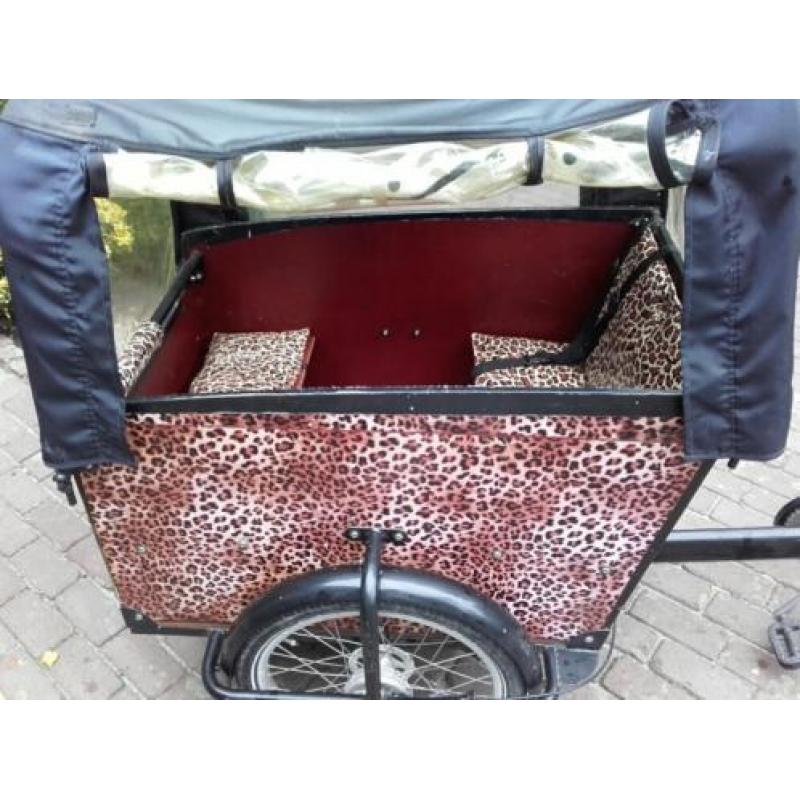 Bakfiets 5 versnellingen en afneembare regenkap